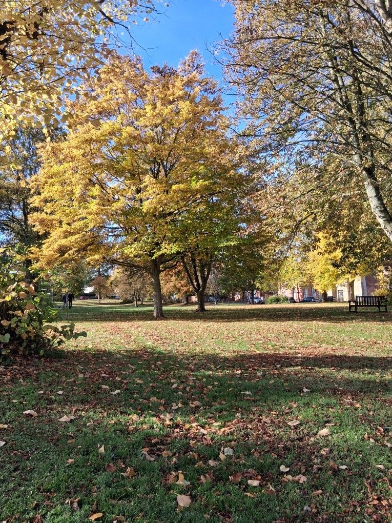 Southwell the Burgage 2